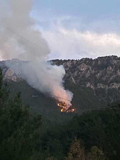 Pozantı’da orman yangını
