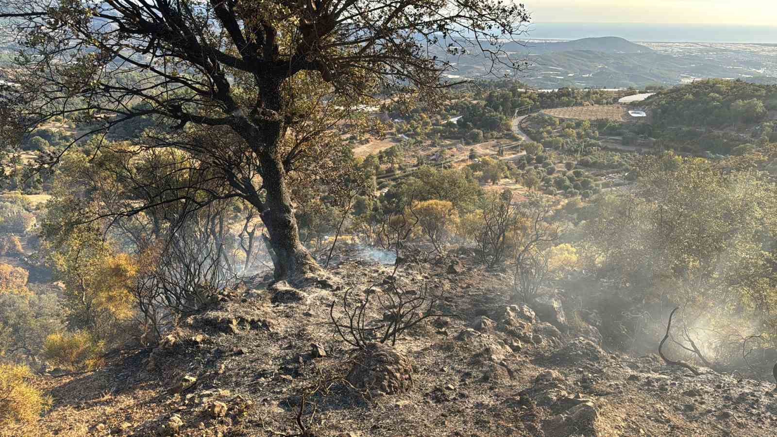 Kumluca’daki orman yangını kısmen kontrol alına alındı
