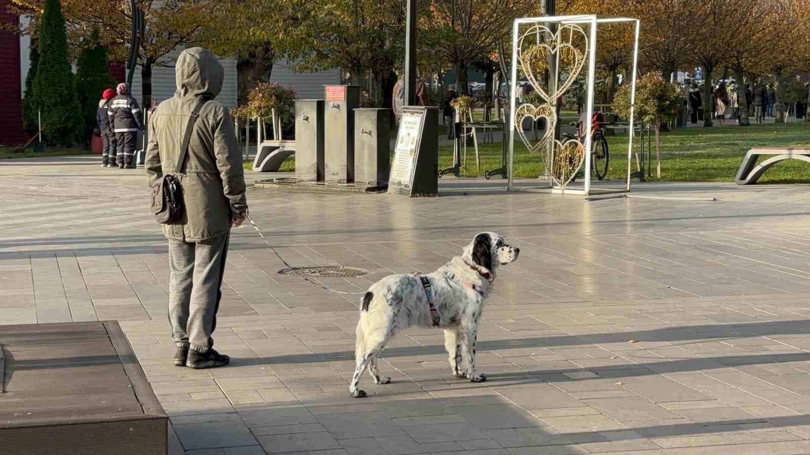 Bolu’da 2 dakikalığına hayat durdu
