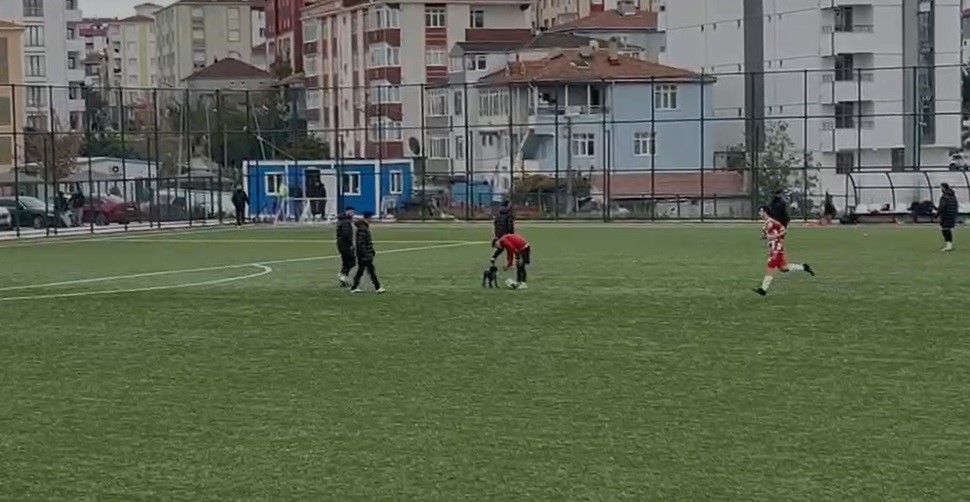 Sahanın sevimli ziyaretçisi futbolcuların antrenmanına ortak oldu
