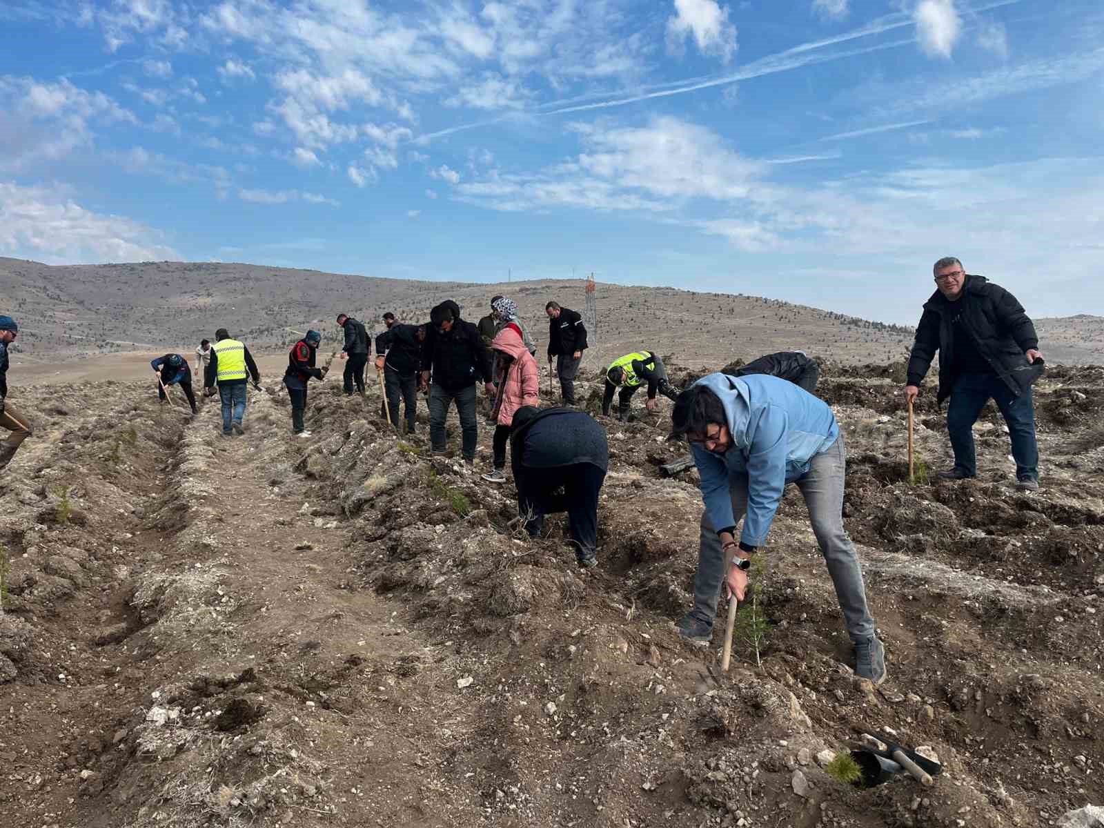 Ata’yı fidan dikerek andılar
