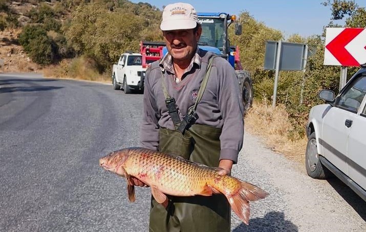 EKODOS Azap Gölü’nün şansı, tepeli pelikanlara dikkat çekti
