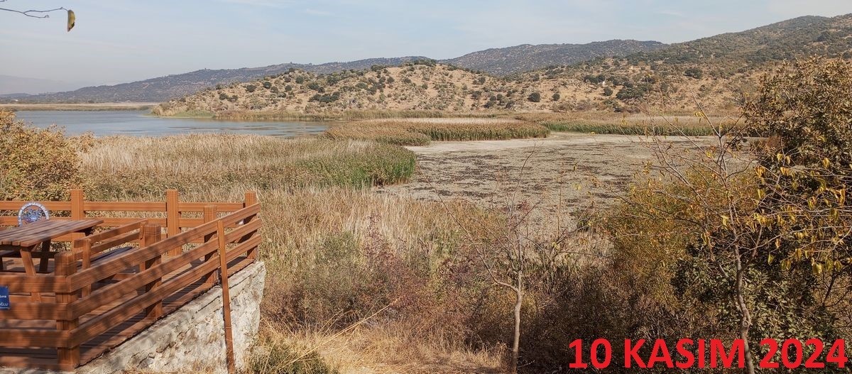 EKODOS Azap Gölü’nün şansı, tepeli pelikanlara dikkat çekti
