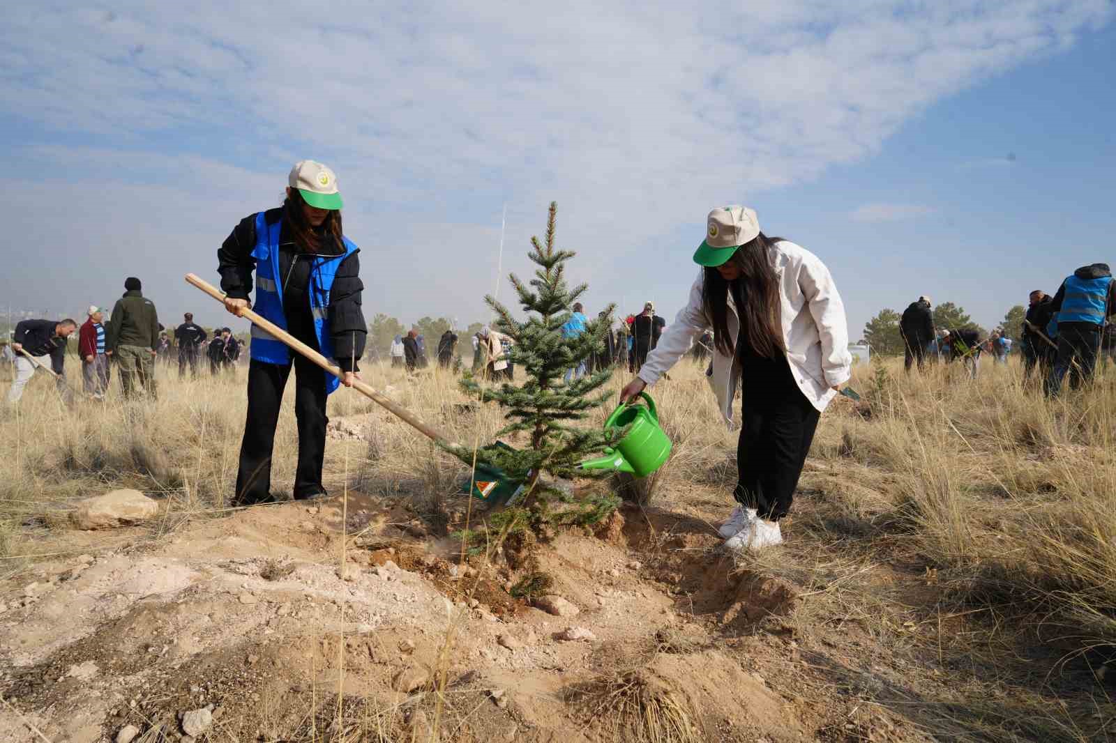 Niğde’de 5 bin fidan toprakla buluşturuldu
