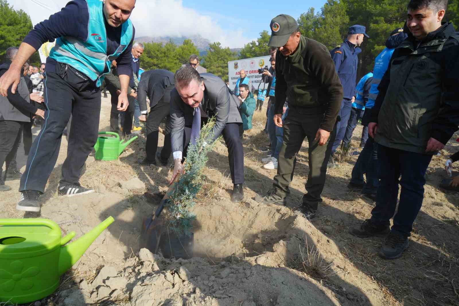 Kazdağları’nda Mili Ağaçlandırma Günü’nde fidanlar toprak ile buluştu
