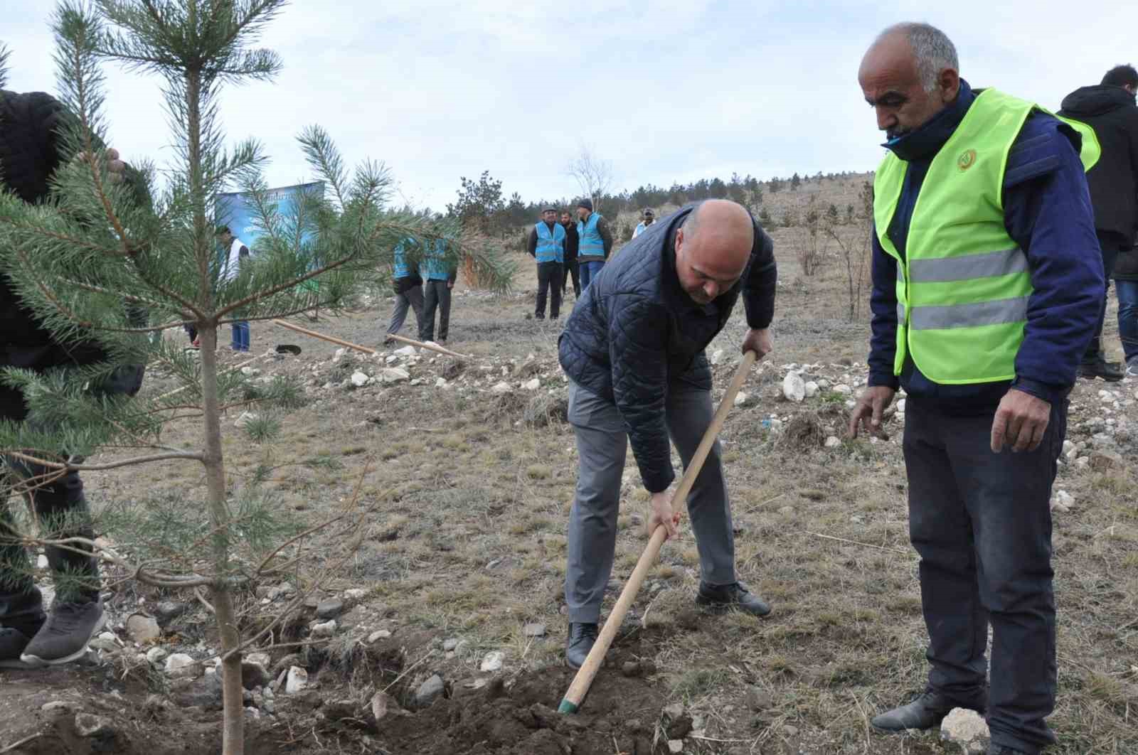 Kars’ta Milli Ağaçlandırma Günü: 11 bin 500 fidan toprakla buluştu
