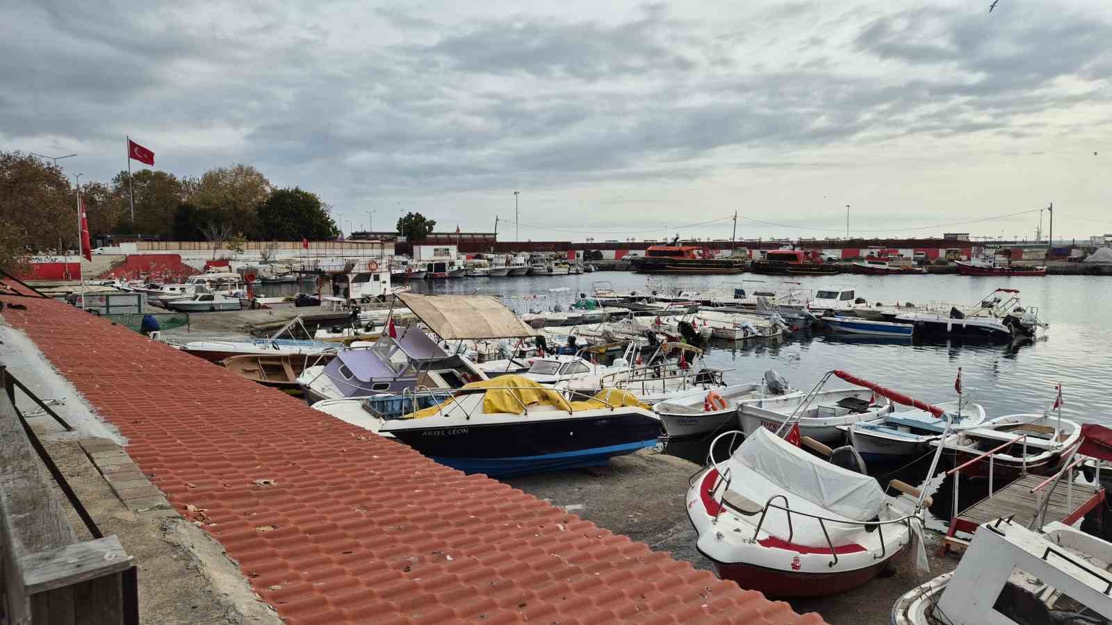 Karadeniz’den umutlu haber geldi: Balıkçılar bayram edecek
