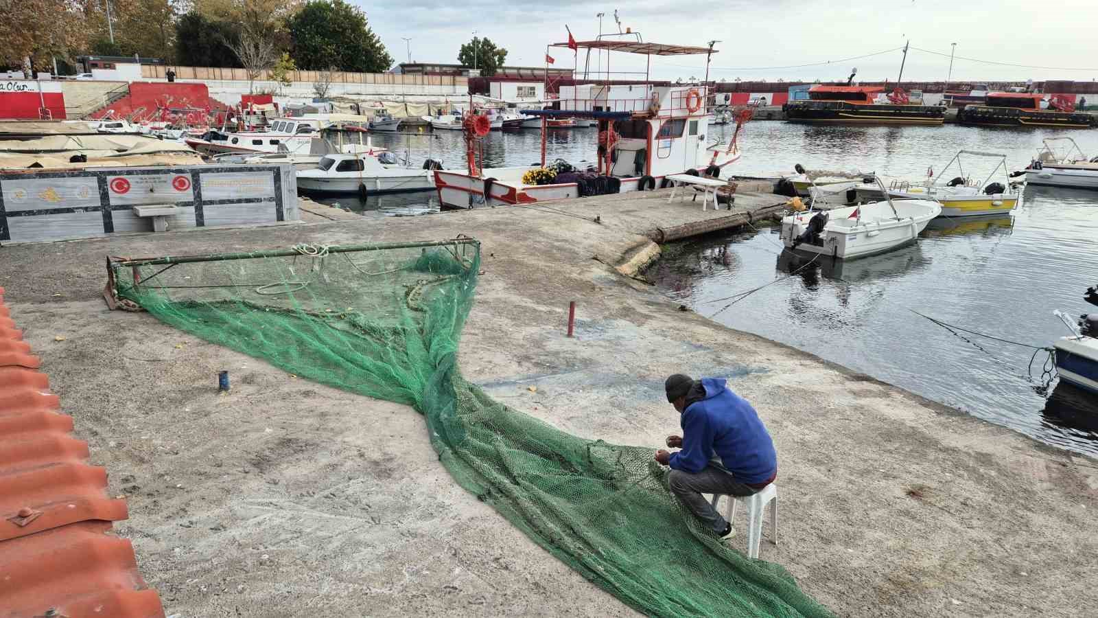 Karadeniz’den umutlu haber geldi: Balıkçılar bayram edecek
