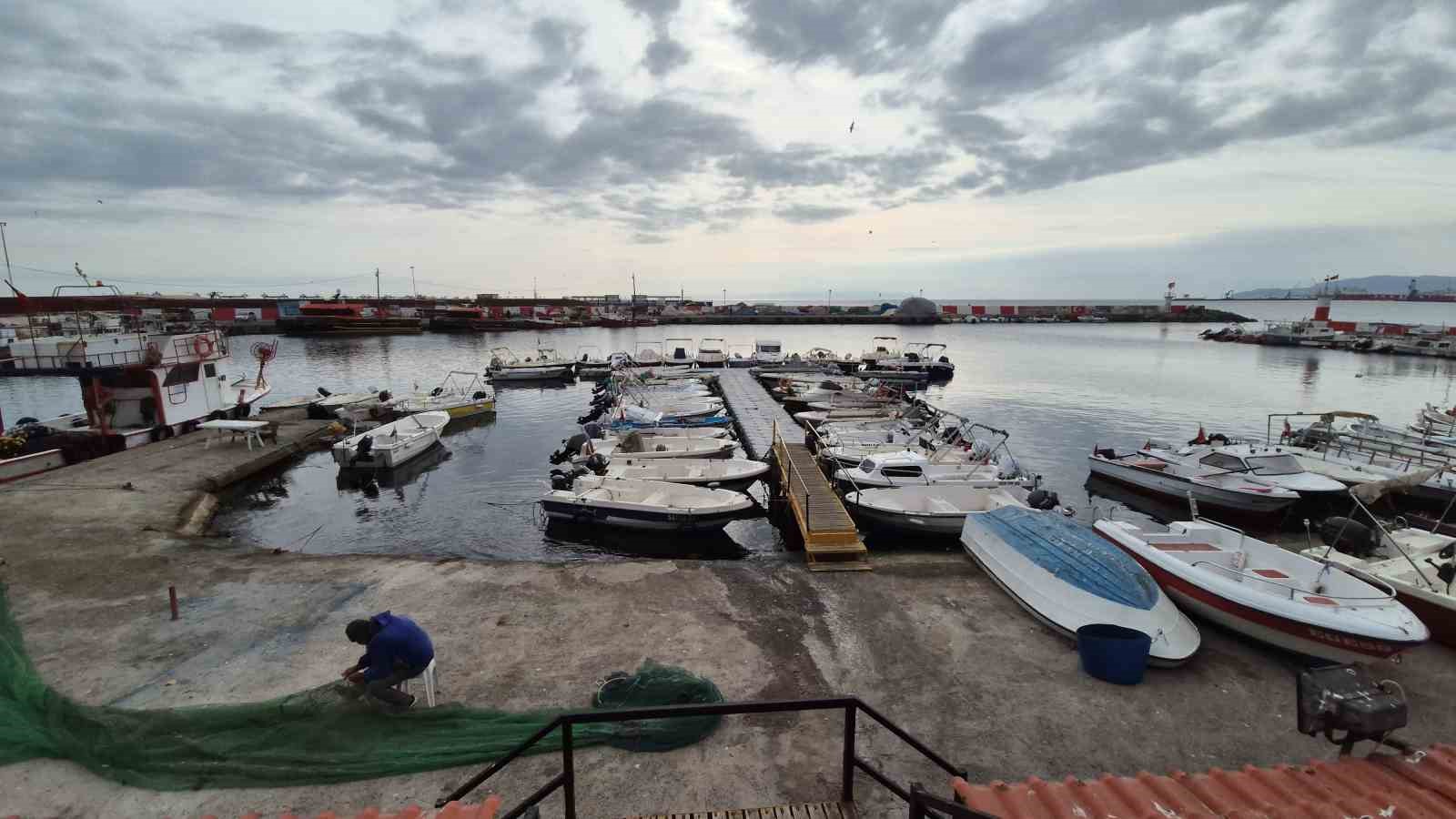 Karadeniz’den umutlu haber geldi: Balıkçılar bayram edecek
