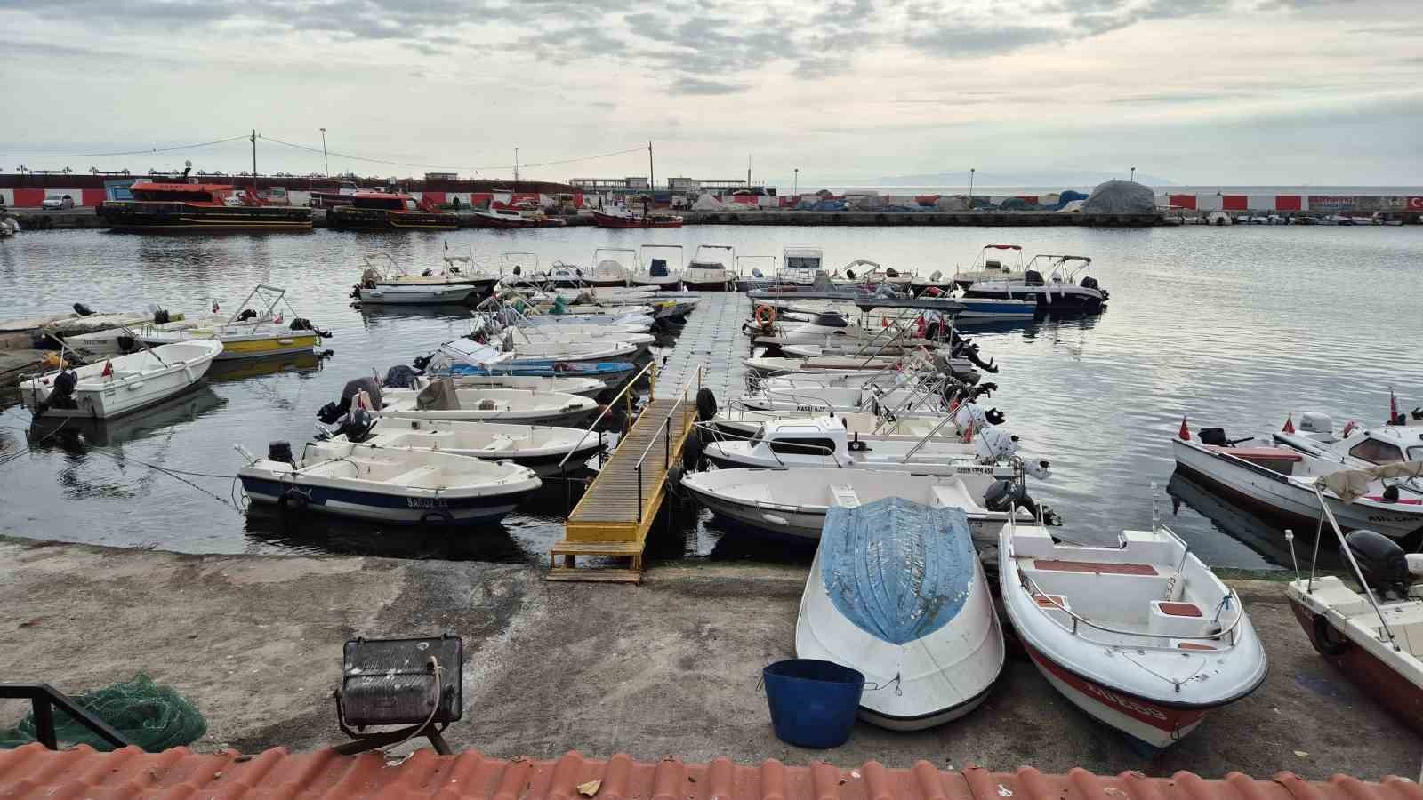 Karadeniz’den umutlu haber geldi: Balıkçılar bayram edecek
