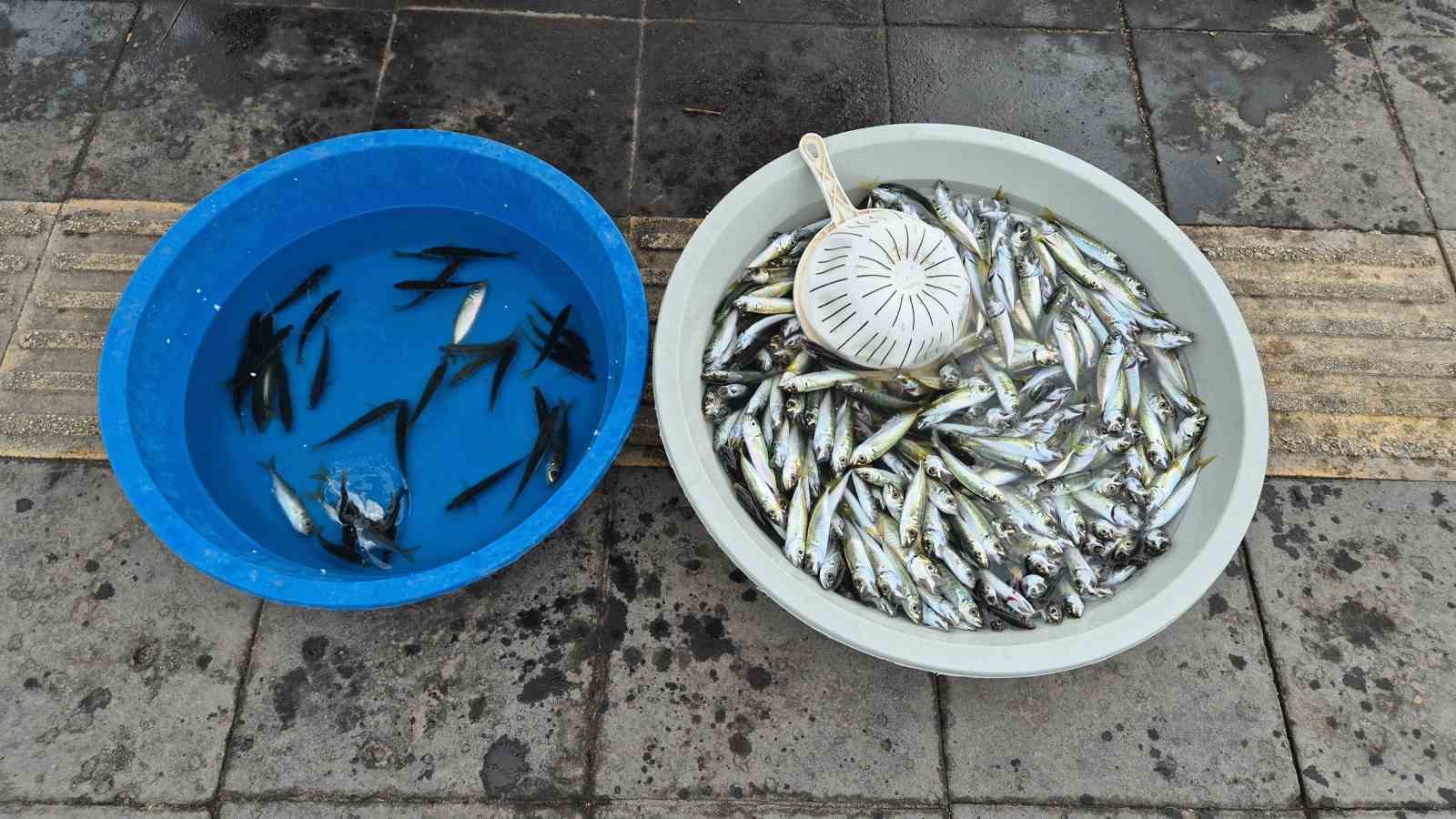 Karadeniz’den umutlu haber geldi: Balıkçılar bayram edecek
