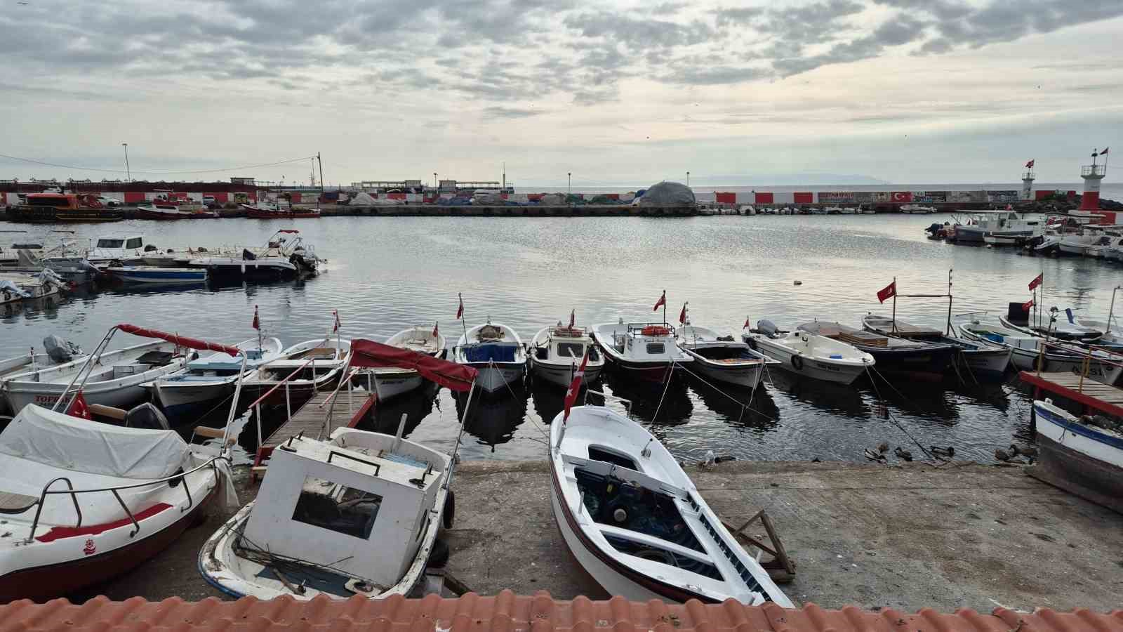 Karadeniz’den umutlu haber geldi: Balıkçılar bayram edecek
