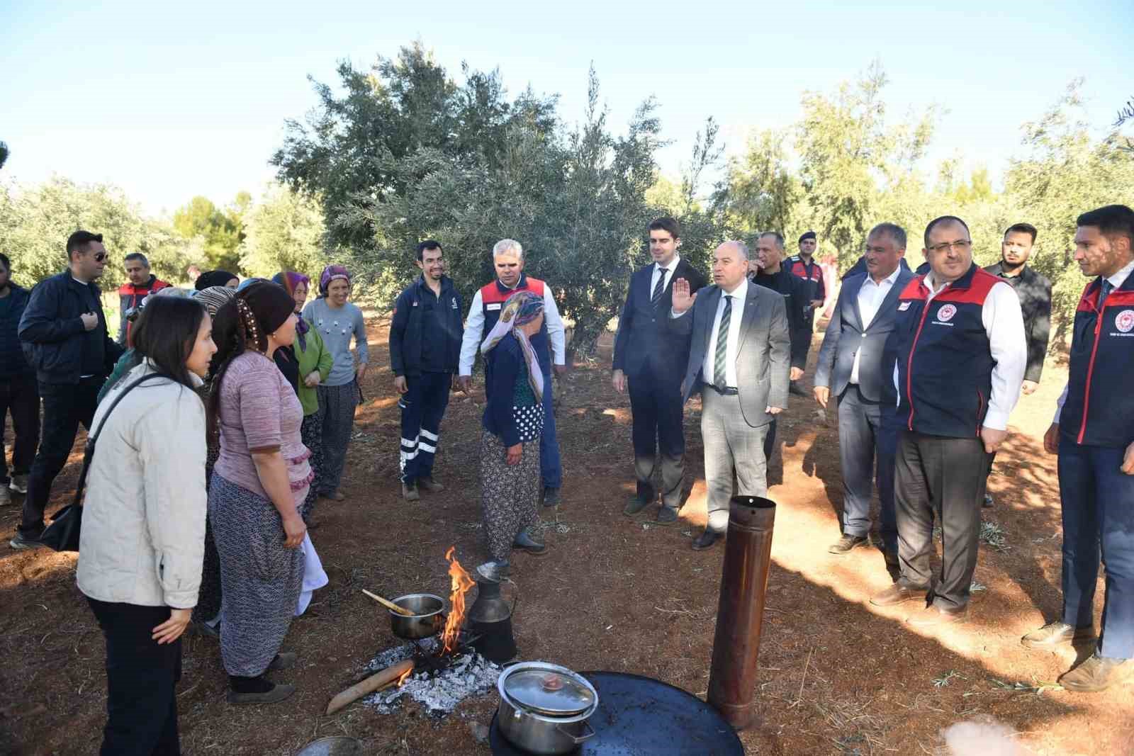 Vali Coşkun, Beyağaç’ta zeytin hasadına katıldı
