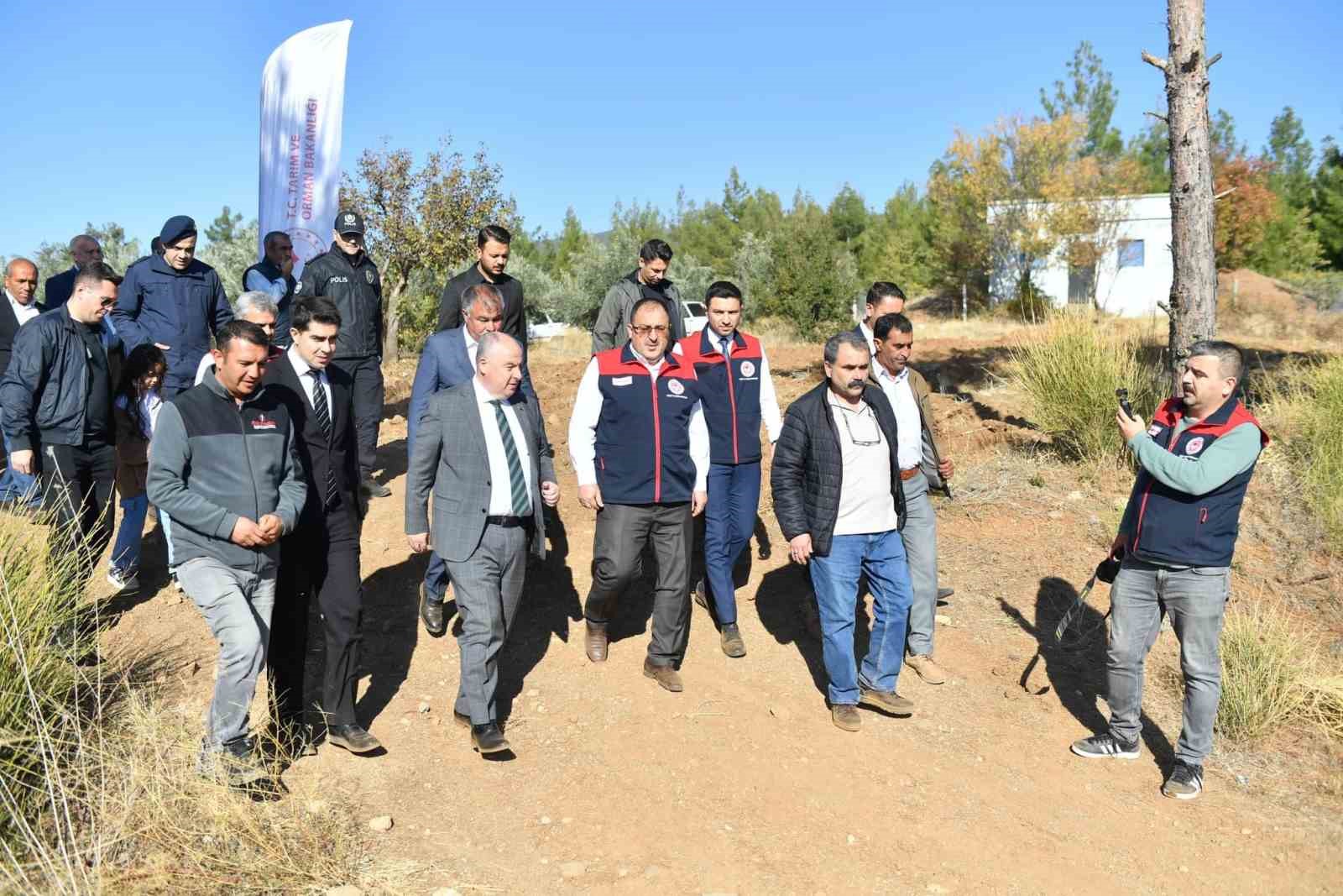 Vali Coşkun, Beyağaç’ta zeytin hasadına katıldı
