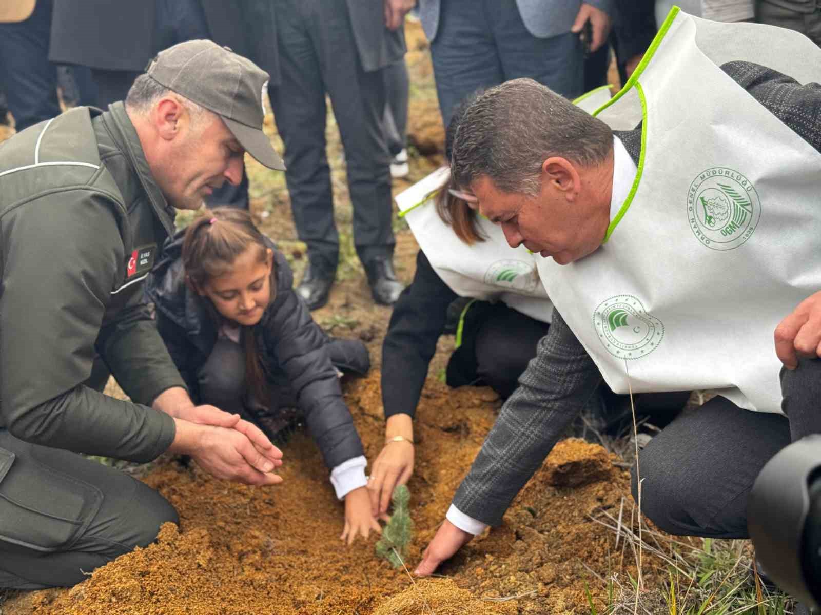 Yalova’da 3 bin 200 fidan toprakla buluştu
