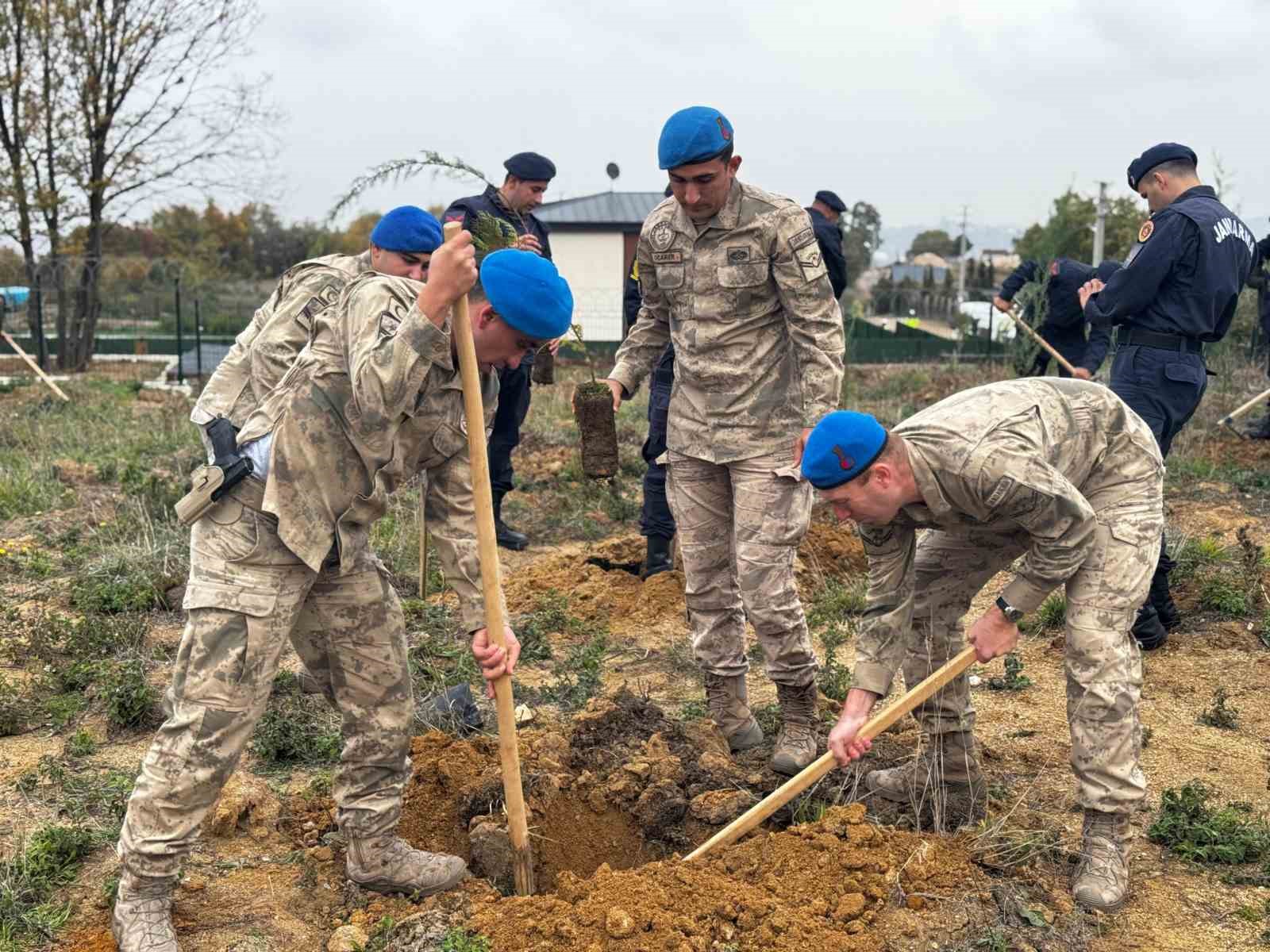 Yalova’da 3 bin 200 fidan toprakla buluştu
