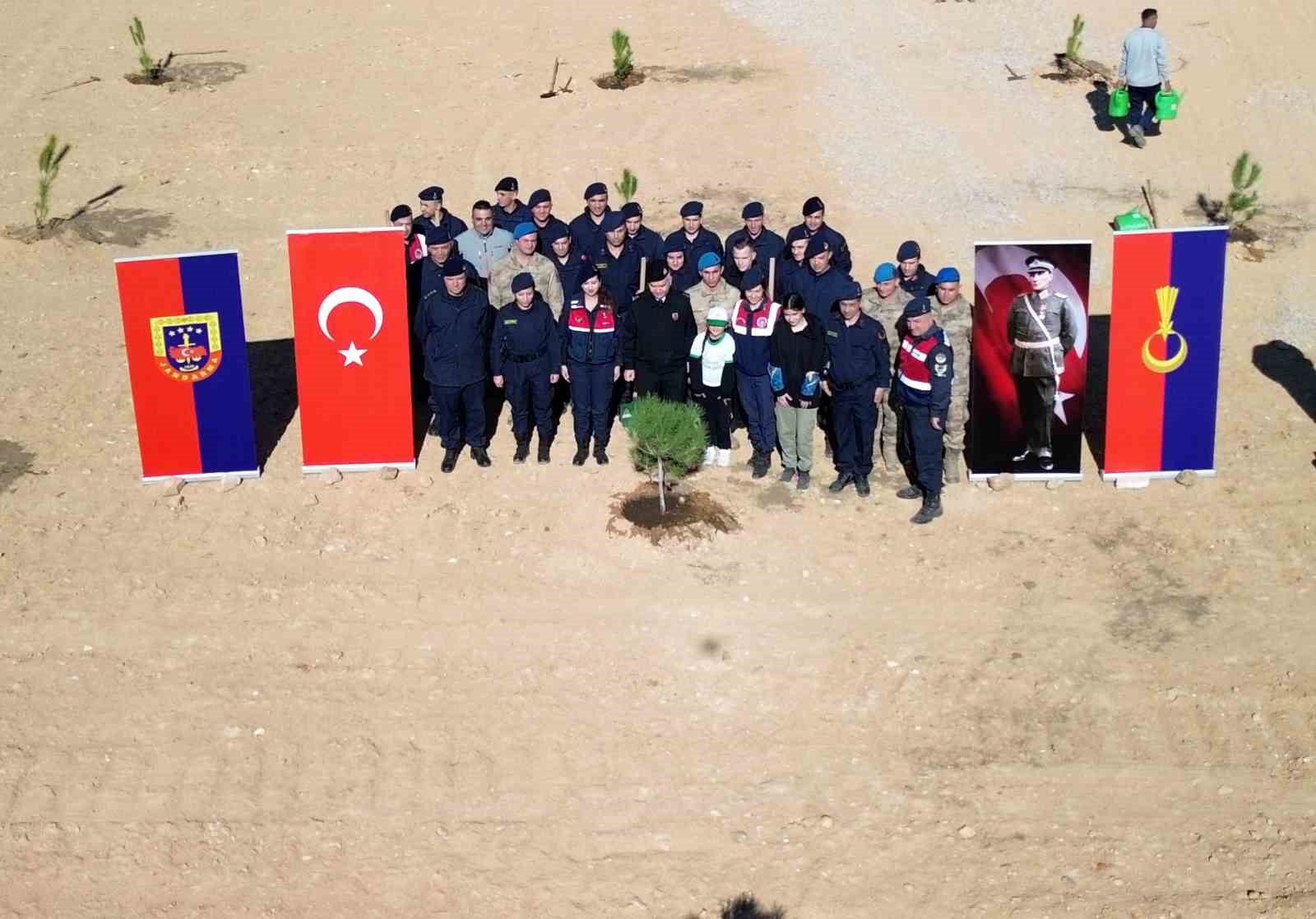 Muğla’nın yeşil alanlarına 20 bin yeni fidan kazandırıldı
