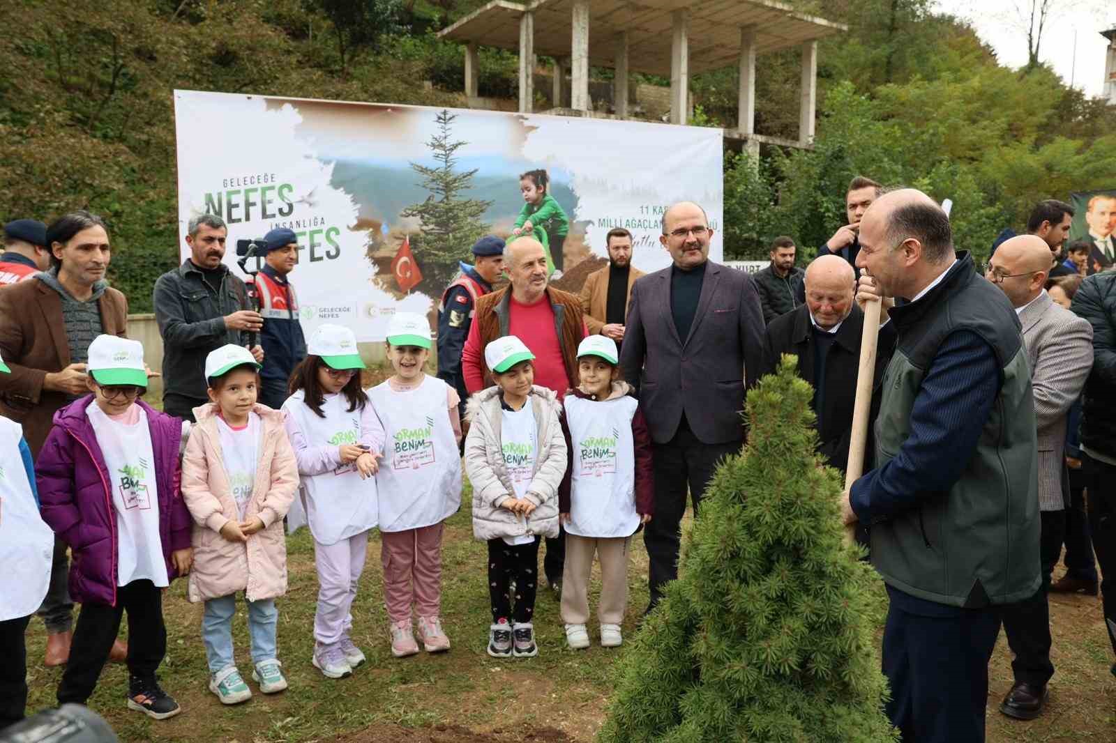 Giresun’da 1 milyon ağaç toprakla buluşacak
