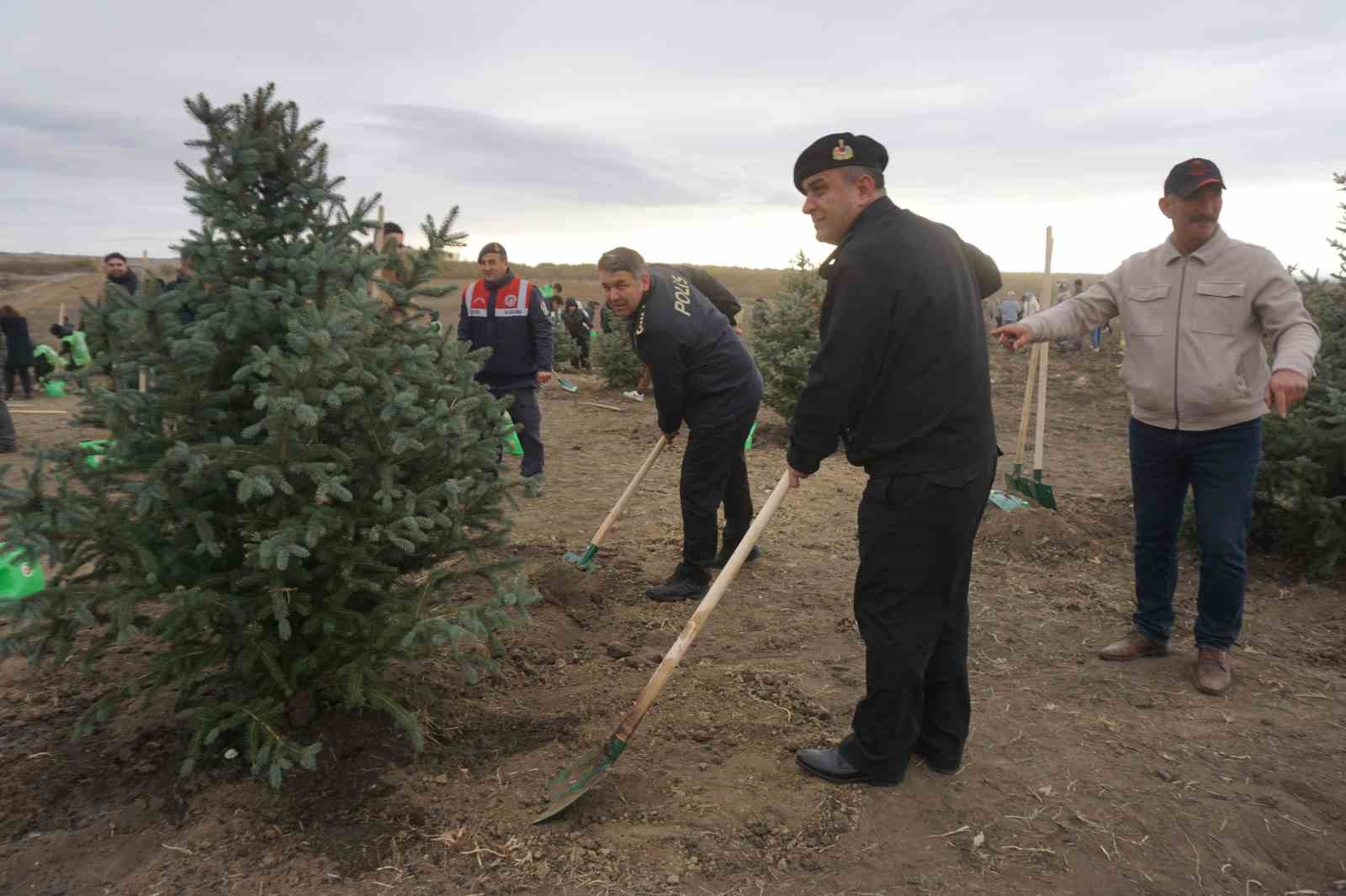 Edirne’de 2 bin fidan toprakla buluştu
