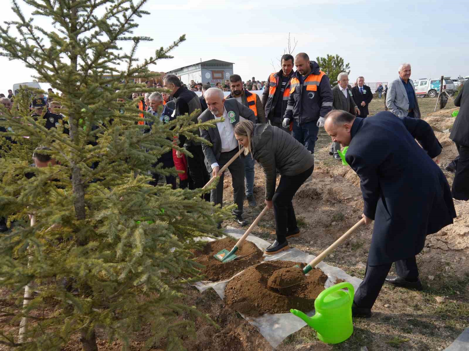 Yaslıkaya: “Kastamonu ormanlarının 23,5’i ağaçlandırmalarla elde edilmiştir”
