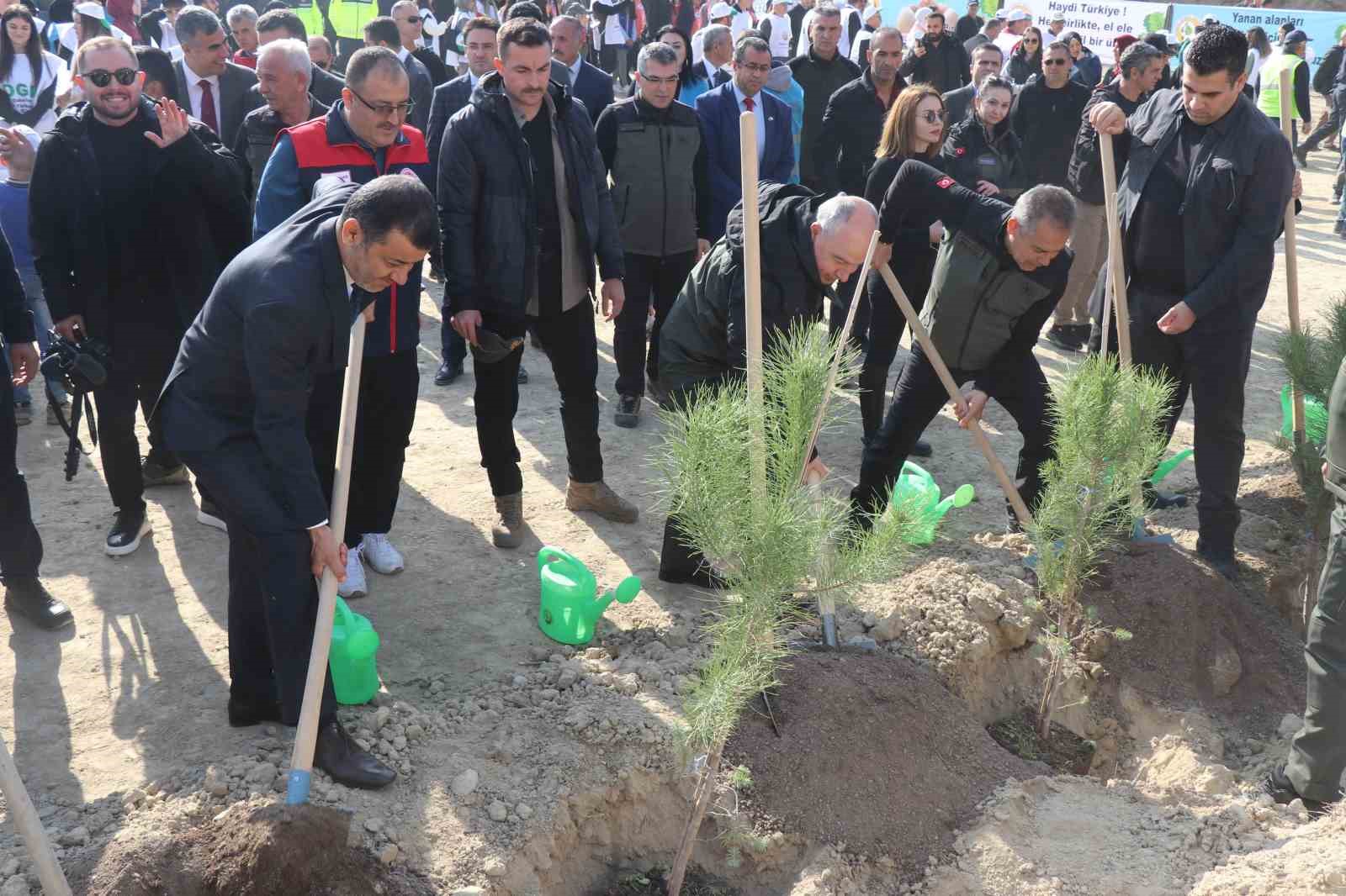 Denizli’de Milli Ağaçlandırma Gününde 5 bin 916 fidan toprakla buluştu
