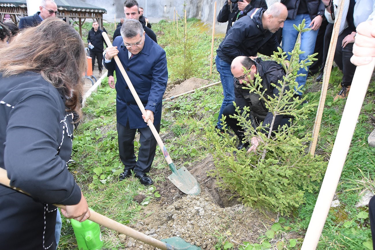 Sinop’ta 11 bin 610 fidan toprakla buluştu
