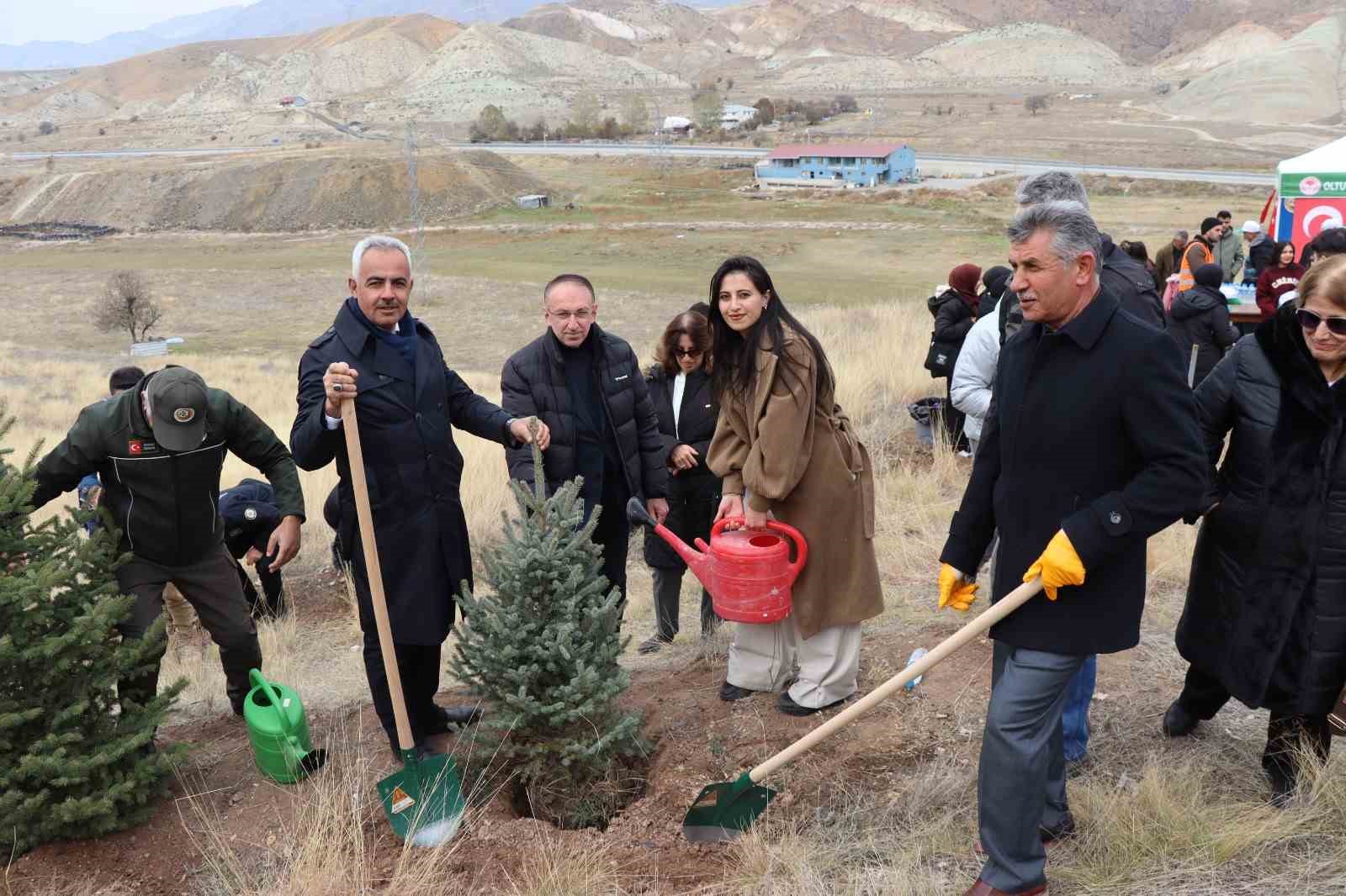 Daha yeşil bir Oltu için 2 bin fidan toprakla buluştu
