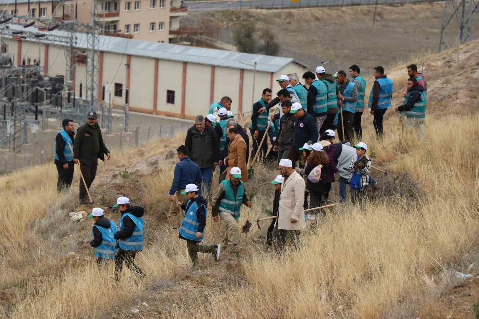 Daha yeşil bir Oltu için 2 bin fidan toprakla buluştu
