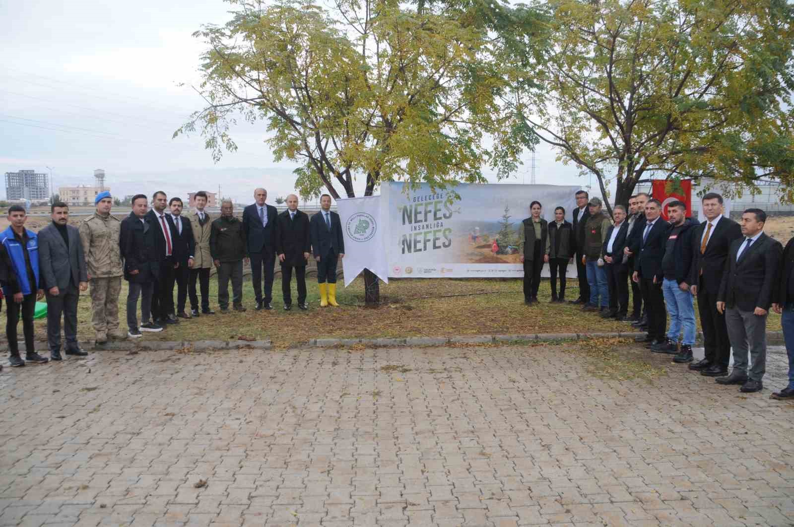 Milli Ağaçlandırma Günü’nde Cizre’de fidanlar toprakla buluştu
