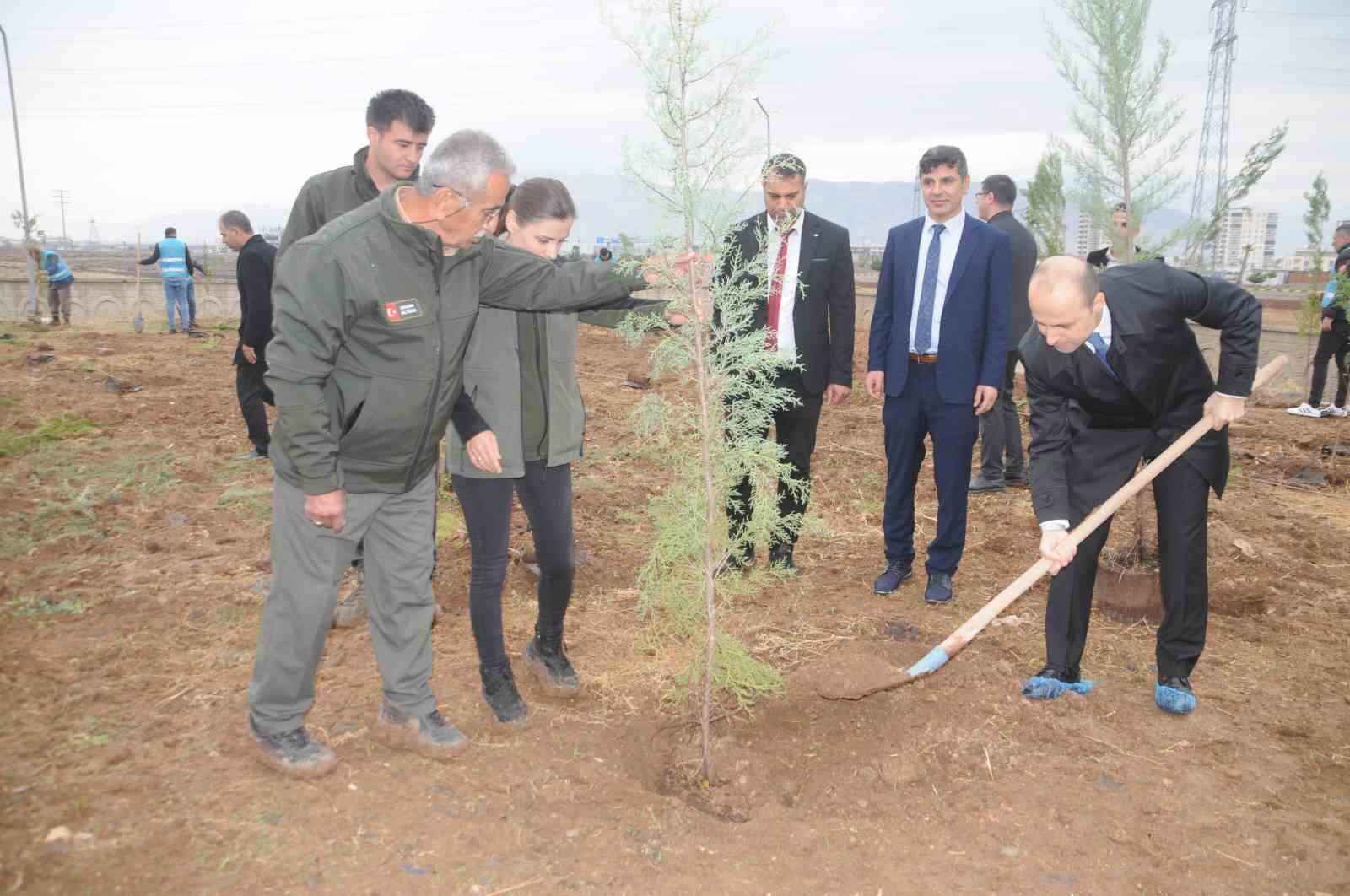 Milli Ağaçlandırma Günü’nde Cizre’de fidanlar toprakla buluştu
