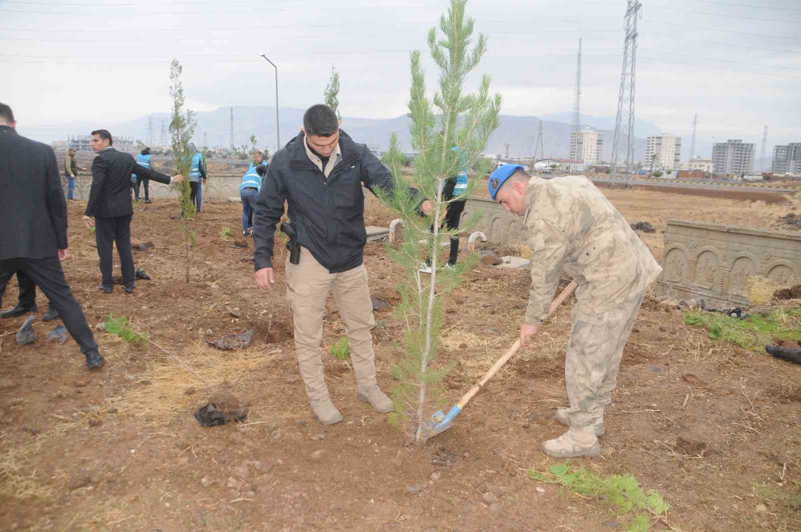 Milli Ağaçlandırma Günü’nde Cizre’de fidanlar toprakla buluştu
