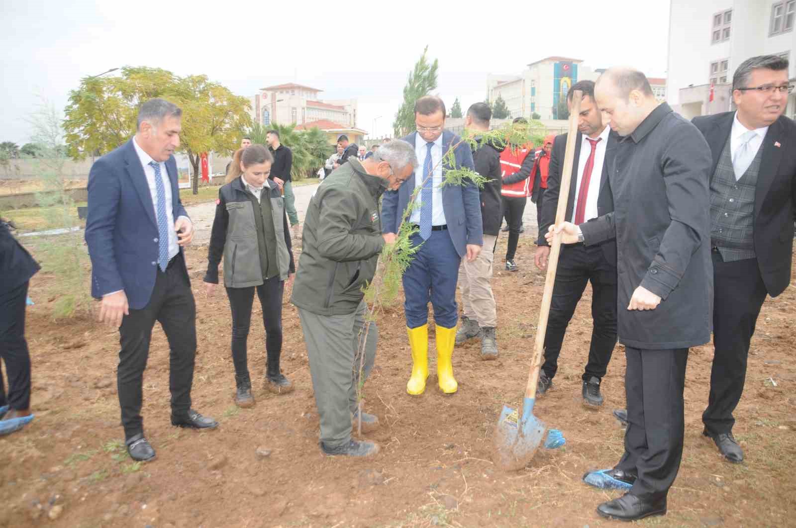 Milli Ağaçlandırma Günü’nde Cizre’de fidanlar toprakla buluştu
