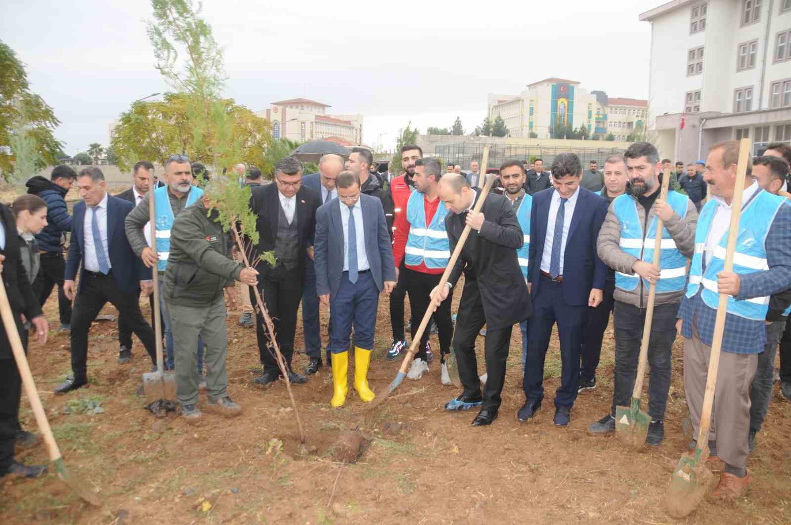 Milli Ağaçlandırma Günü’nde Cizre’de fidanlar toprakla buluştu
