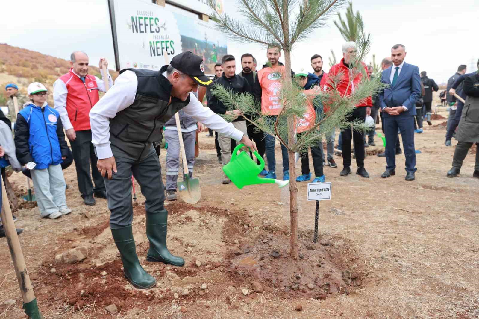 Bingöl’de binlerce fidan, toprak ile buluştu
