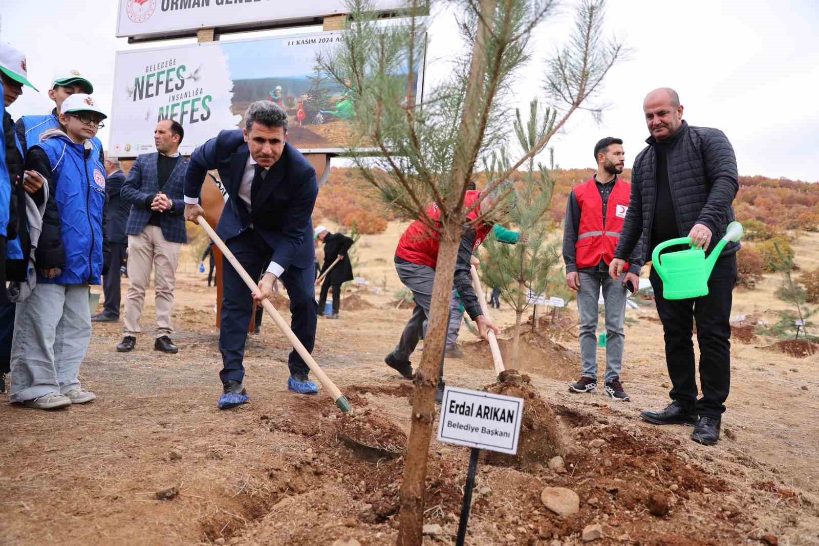 Bingöl’de binlerce fidan, toprak ile buluştu
