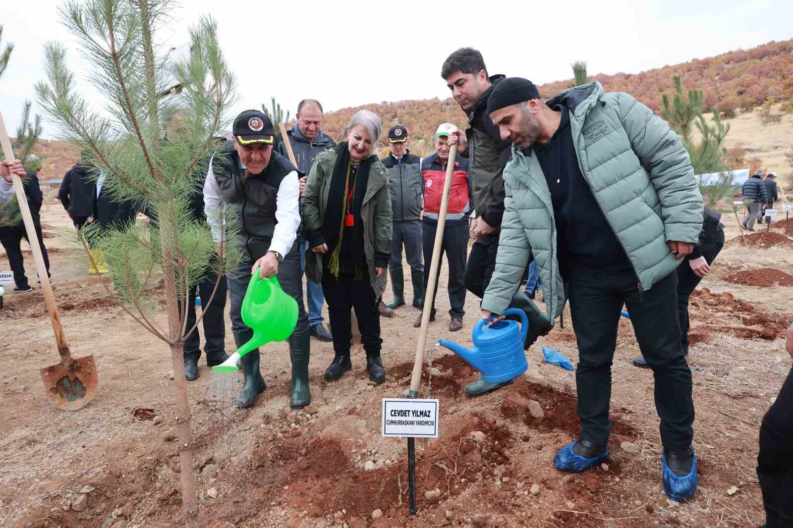 Bingöl’de binlerce fidan, toprak ile buluştu
