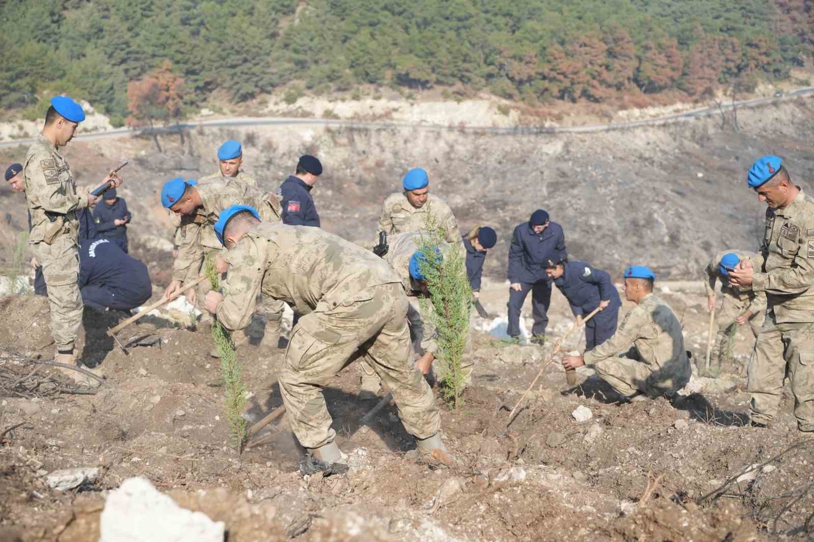 Yanan alanlar yeniden yeşillendiriliyor
