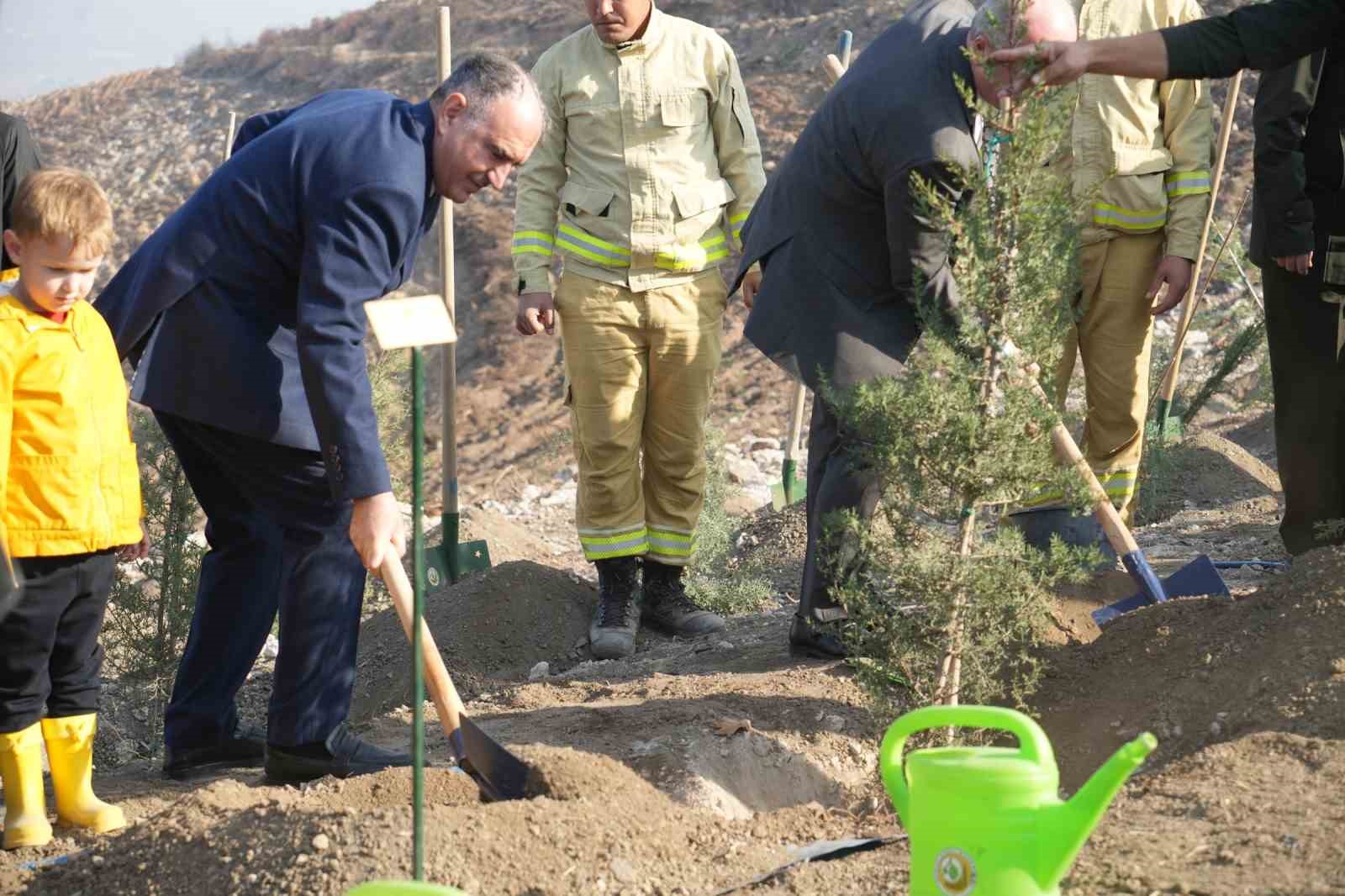 Yanan alanlar yeniden yeşillendiriliyor
