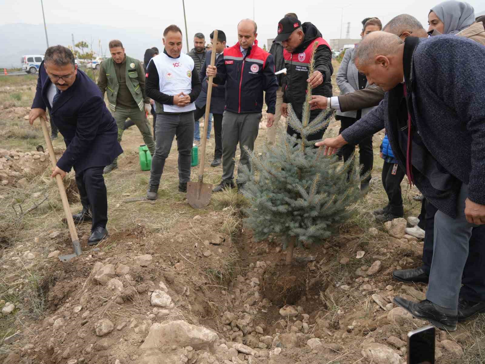 Iğdır’da binlerce fidan toprakla buluşturuldu
