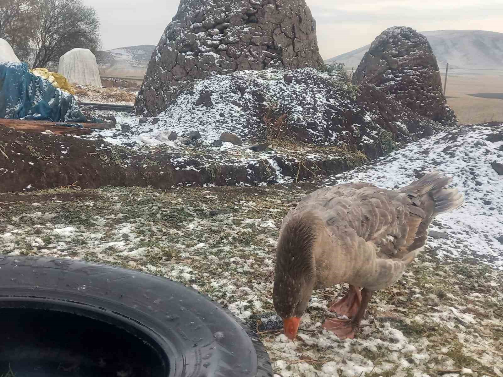 Kars’ta kar yağışı
