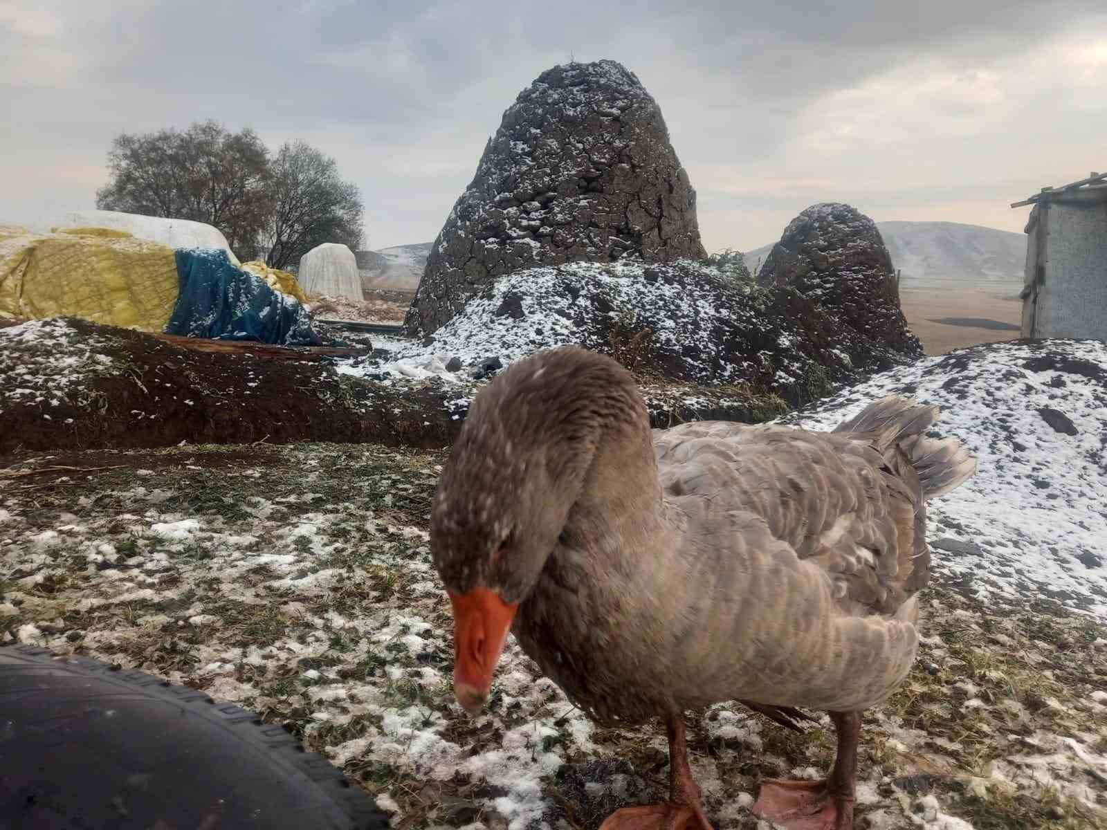 Kars’ta kar yağışı
