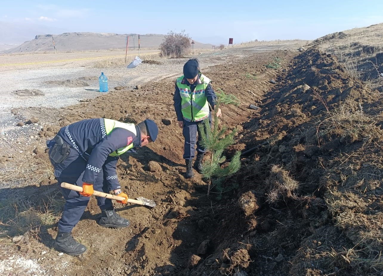 Jandarma ekipleri yüzlerce fidanı toprakla buluşturdu
