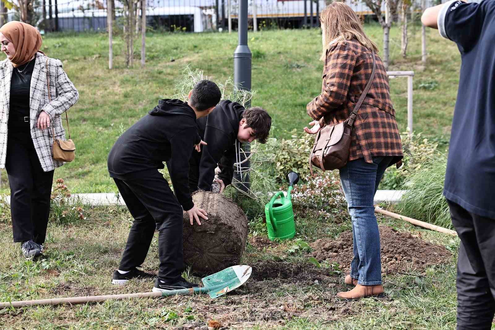 Millet Bahçesi’ne 30 fıstık çamı dikildi
