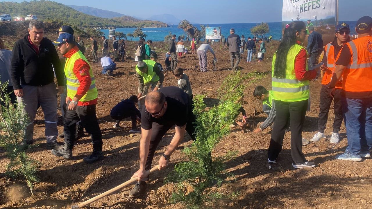 Marmaris’te 11 bin fidan toprakla buluştu
