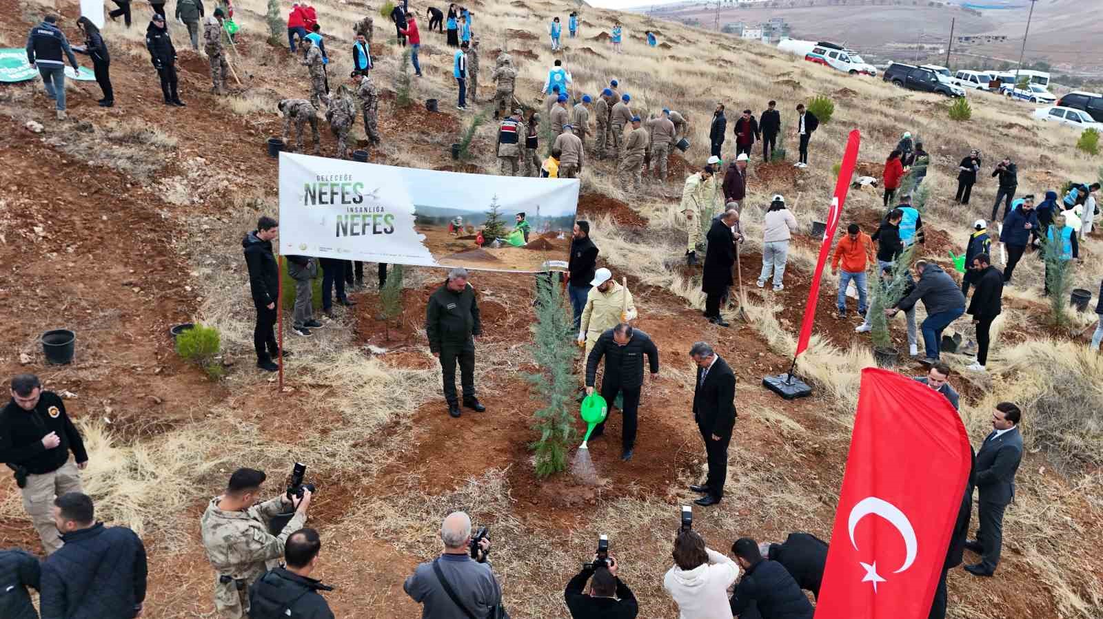 Siirt’te 2 bin 500 fidan toprakla buluştu
