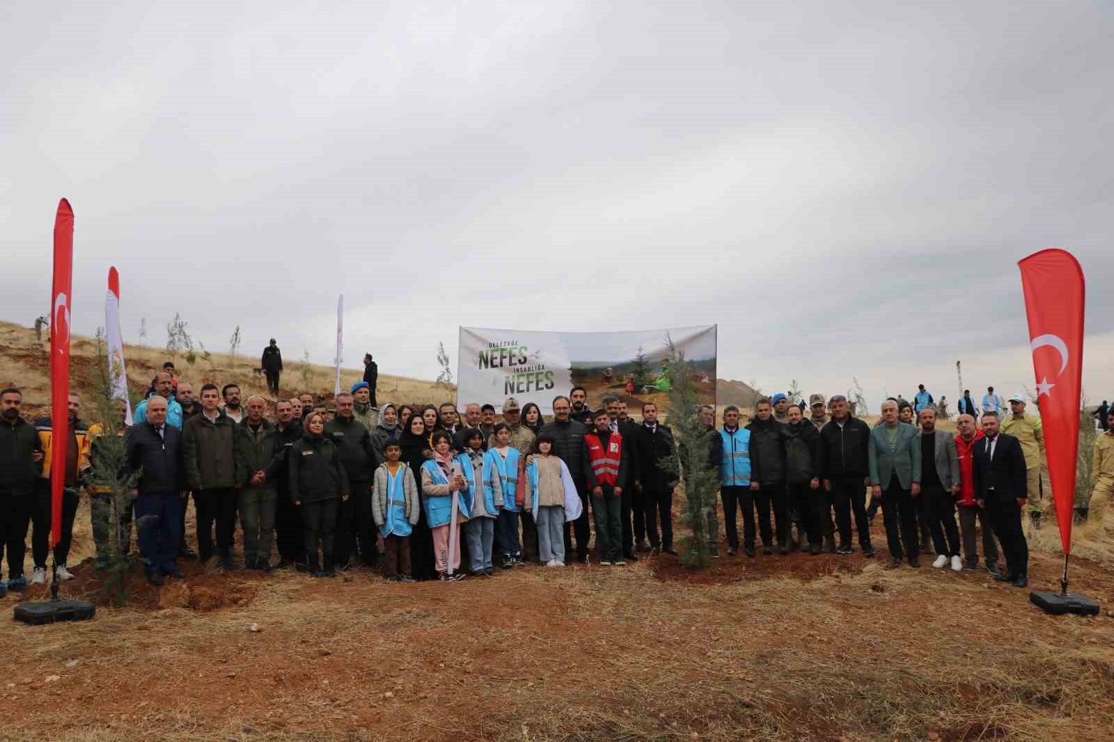 Siirt’te 2 bin 500 fidan toprakla buluştu
