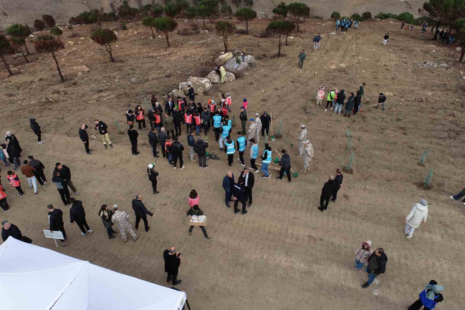 Bandırma’da yanan alanda 750 çam fidanı toprakla buluştu
