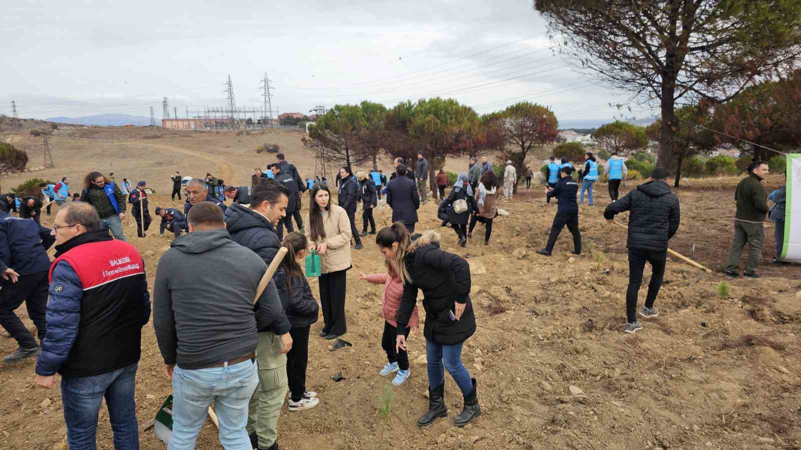 Bandırma’da yanan alanda 750 çam fidanı toprakla buluştu
