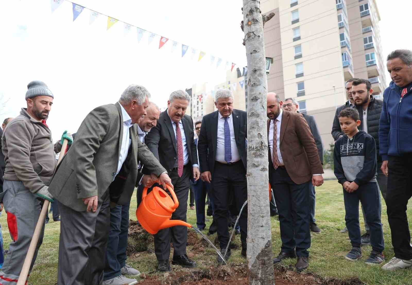 Başkan Palancıoğlu’nun yeşil projesi: “Melikgazi’de fidan değil: ağaç dikiyoruz”
