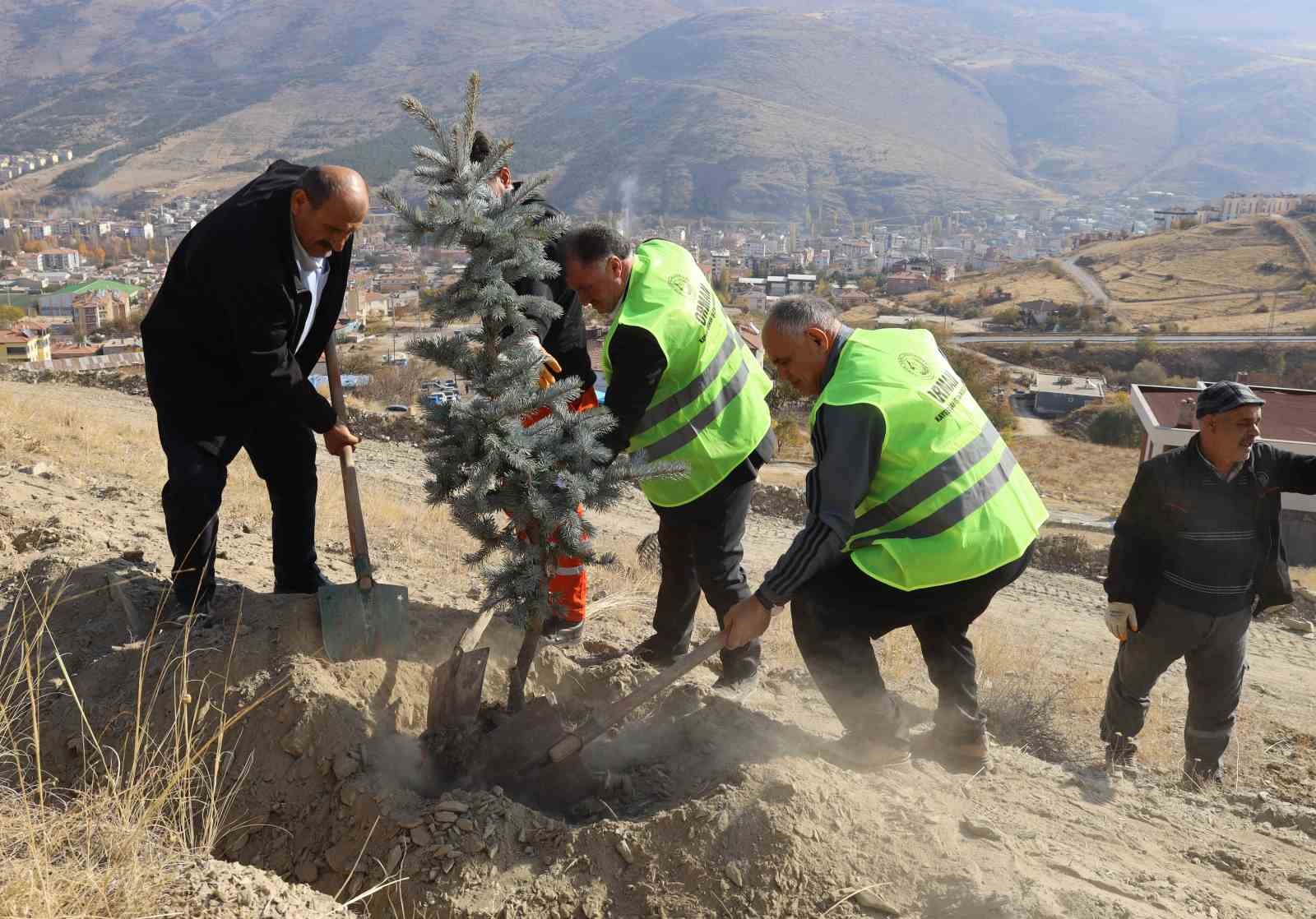 Yahyalı’da binlerce fidan toprakla buluştu
